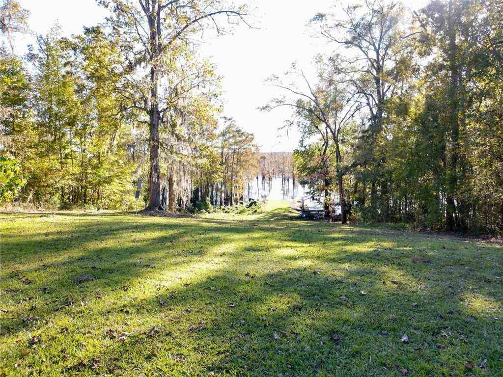 135 Camp Allen Road Winnfield, LA 71483 - Photo 8 of 20 Gallery Image 8