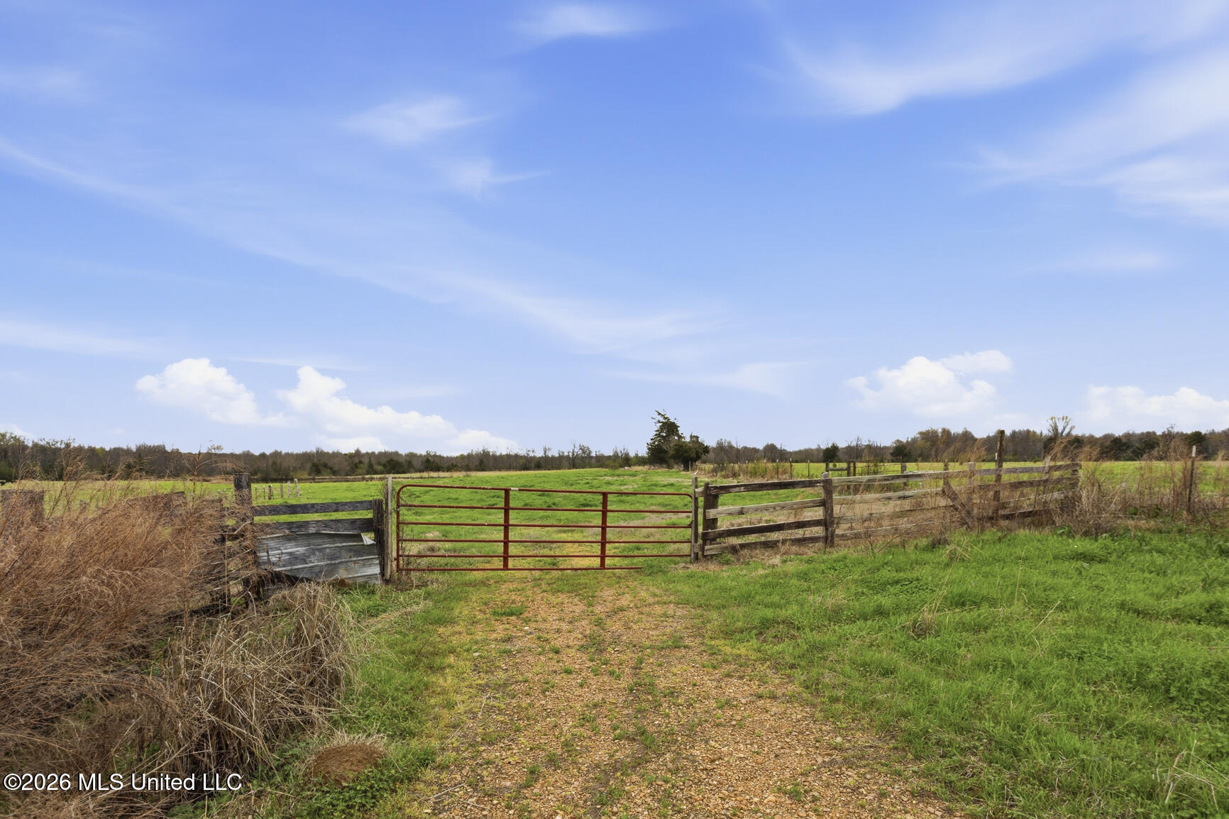 2729 Davis Road Benton, MS 39039 - Photo 2 of 38 2729 Davis Rd-1