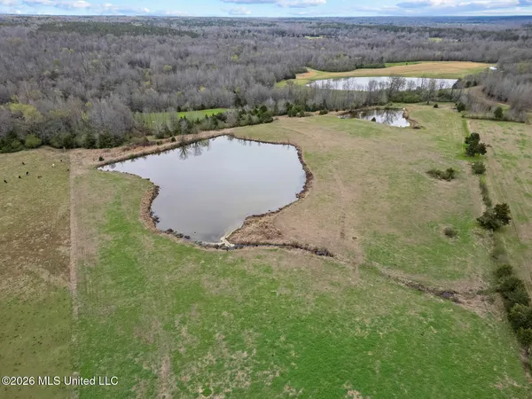 $450,000 | 2729 Davis Road, Benton, MS 39039