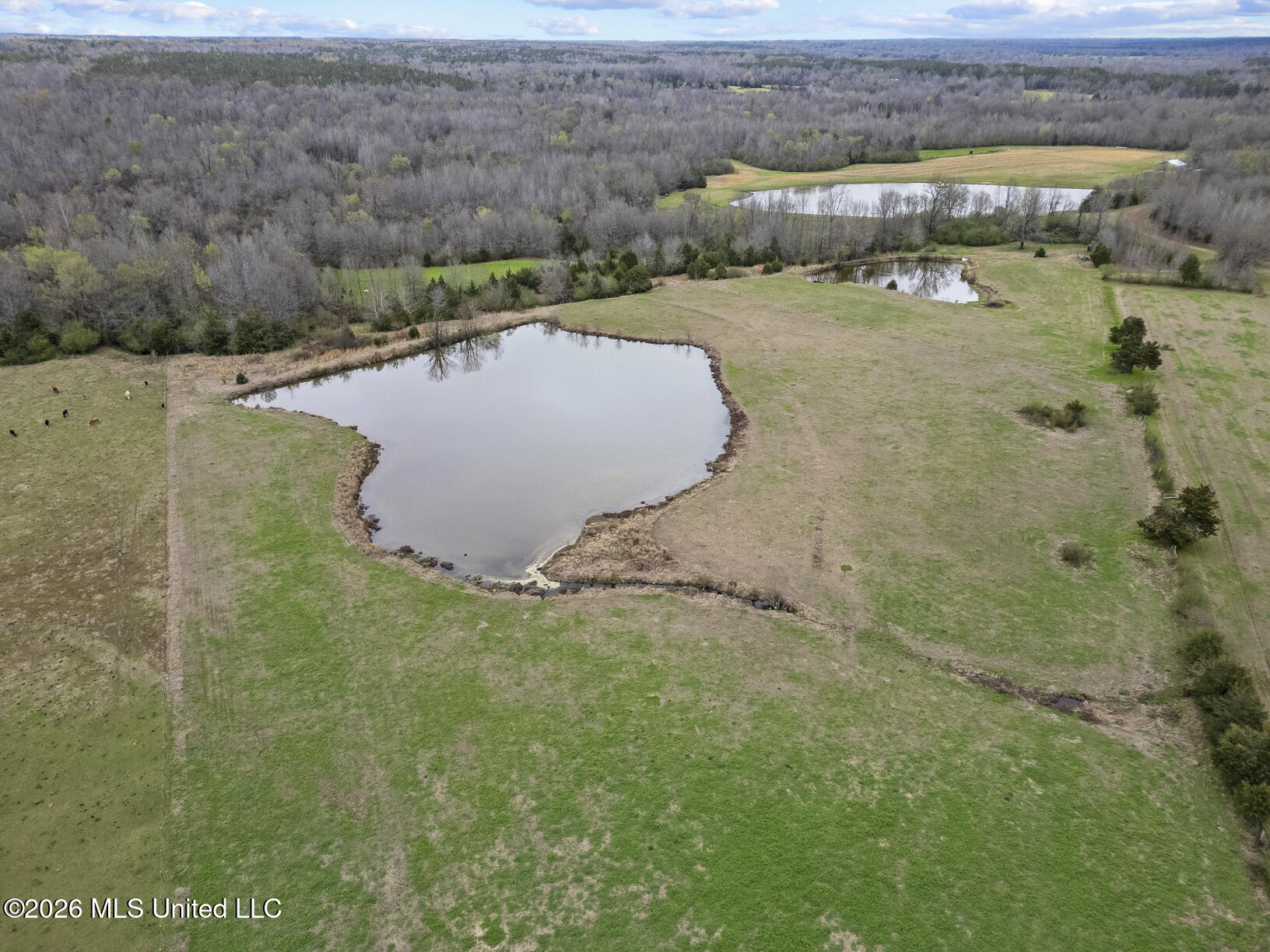 2729 Davis Road Benton, MS 39039 - Photo 34 of 38 2729 Davis Rd Drone-6