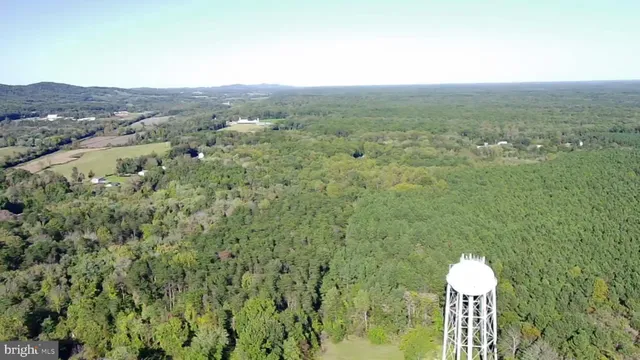 an aerial view of houses covered in trees