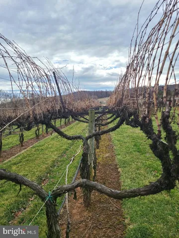 $50,000 | Charles Street, Gordonsville, VA 22942