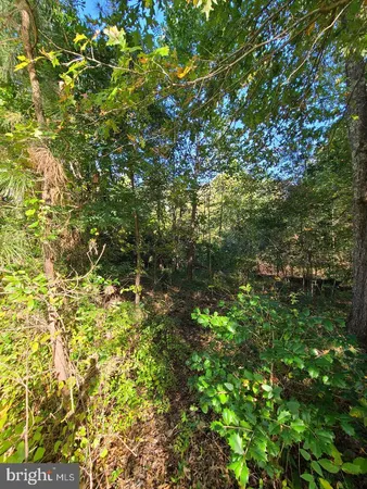 an aerial view of residential house with outdoor space
