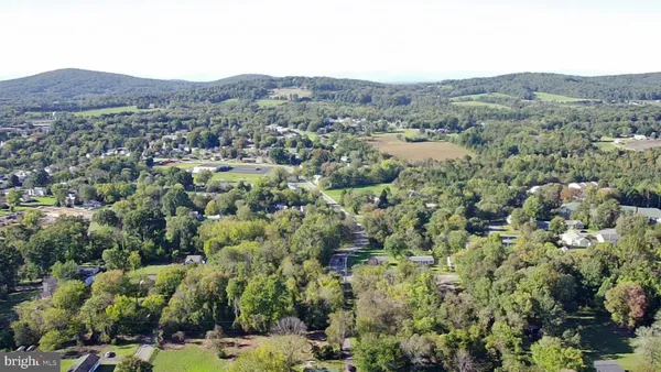 a view of a city with lush green forest