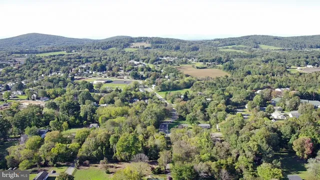 a view of a city with lush green forest
