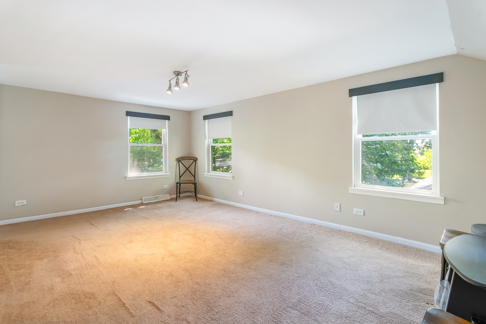 926 South Cedar Road New Lenox, IL 60451 - Photo 19 of 29