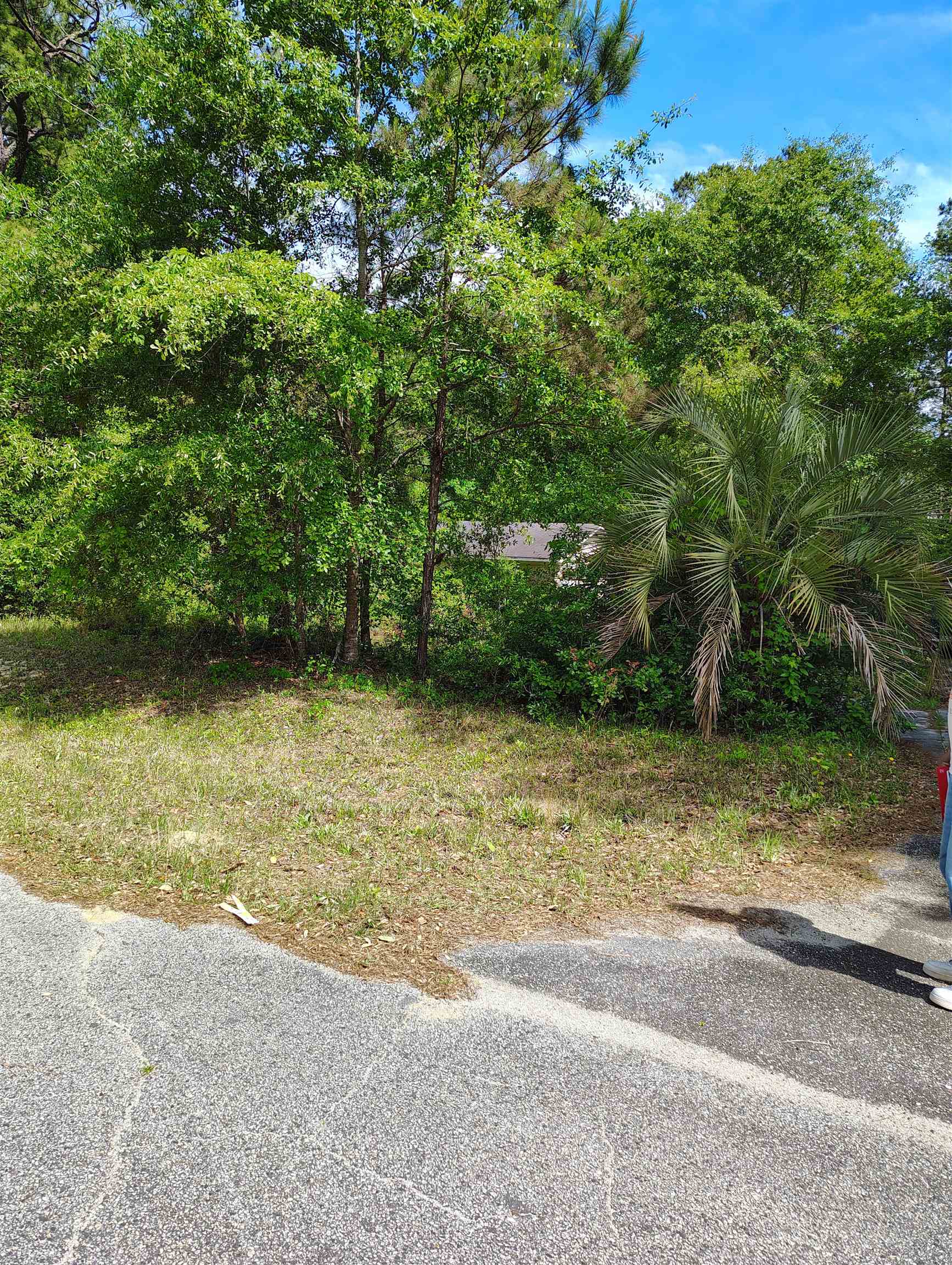 166 Telfair Road Georgetown, SC 29440 - Photo 1 of 1