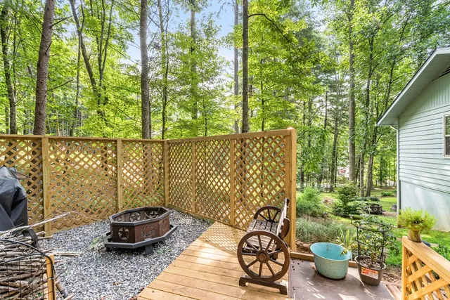 a view of a large yard with plants and large trees