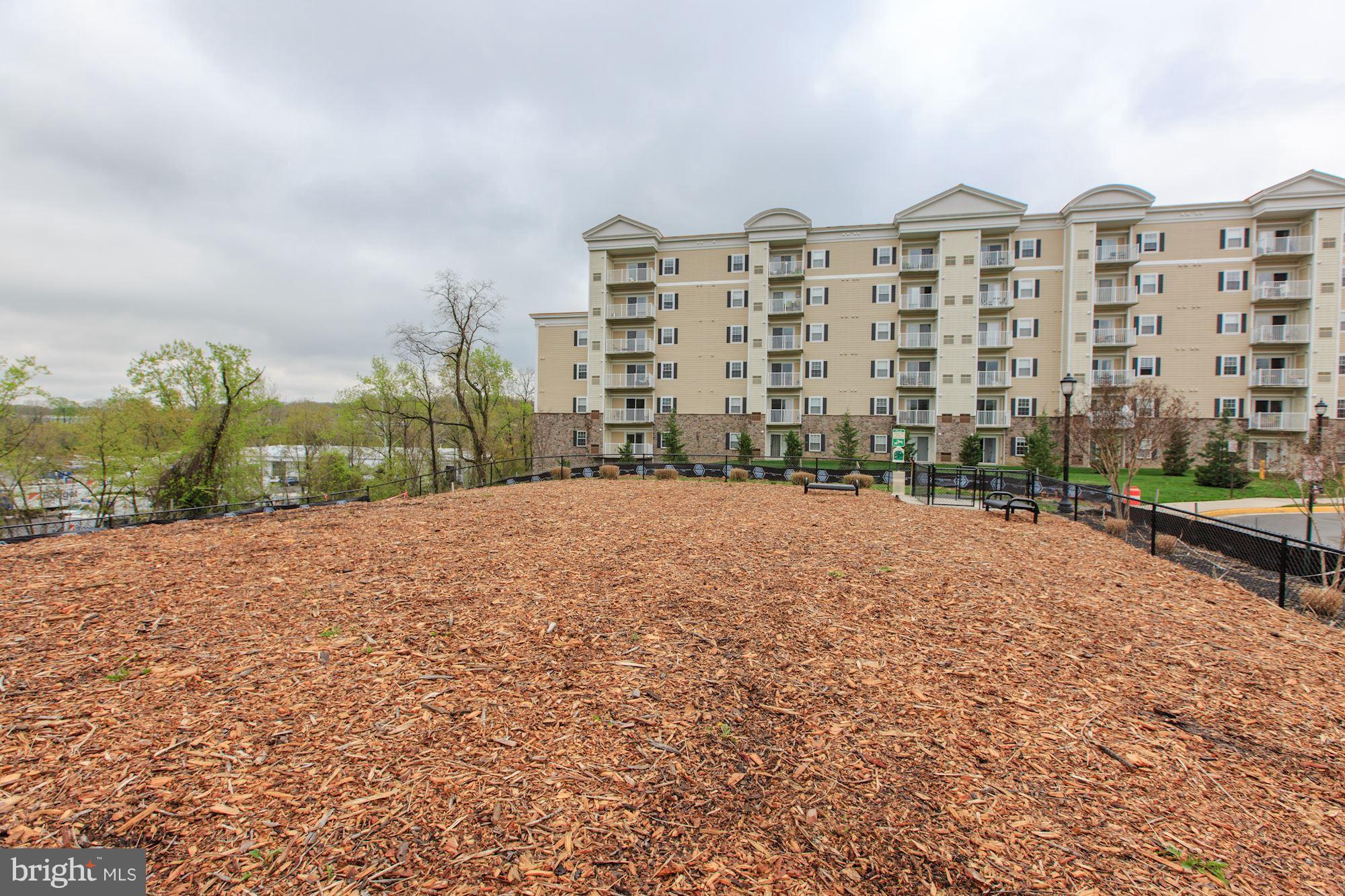 6301 Edsall Road, Unit 416 Alexandria, VA 22312 - Photo 19 of 27 Dog Park