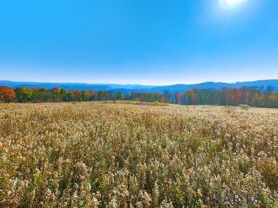 Rolling Hills Road Johnstown, PA 15905 - Photo 8 of 12 Gallery Image 8