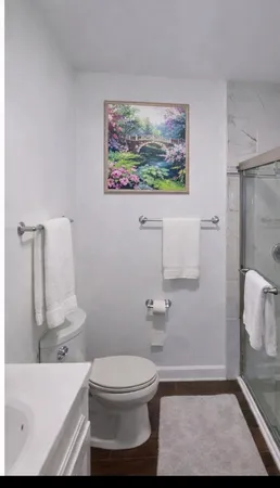 a bathroom with a toilet and a shower