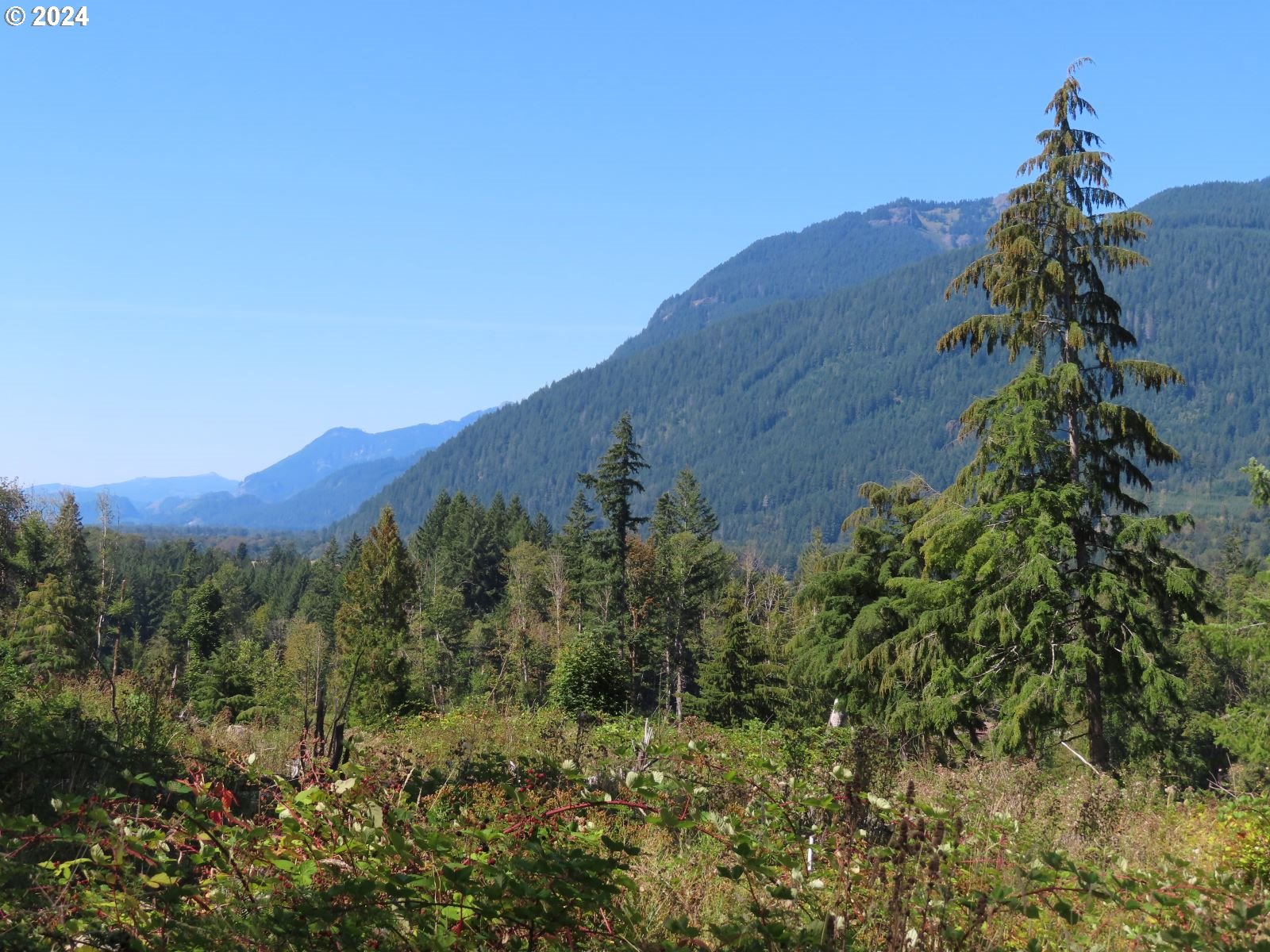 Bennett Road, Unit 2 & 3 Randle, WA 98377 - Photo 12 of 35 Gallery Image 12