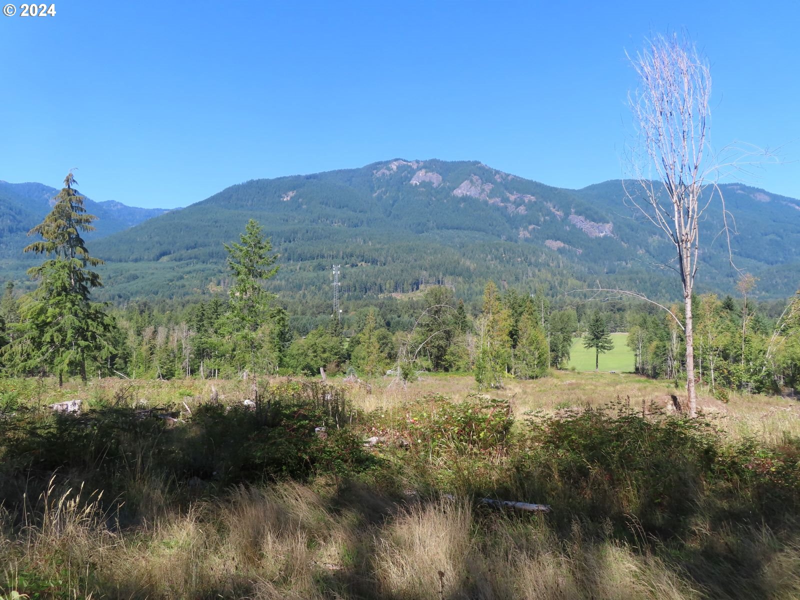 Bennett Road, Unit 2 & 3 Randle, WA 98377 - Photo 16 of 35 Gallery Image 16