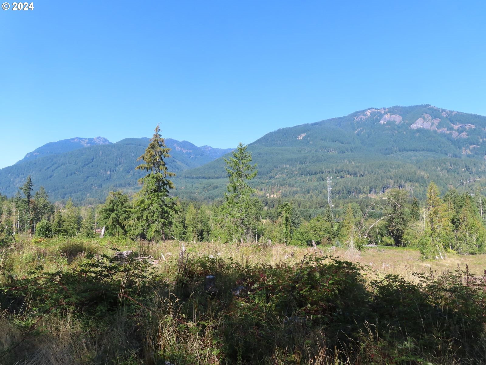 Bennett Road, Unit 2 & 3 Randle, WA 98377 - Photo 20 of 35 Gallery Image 20