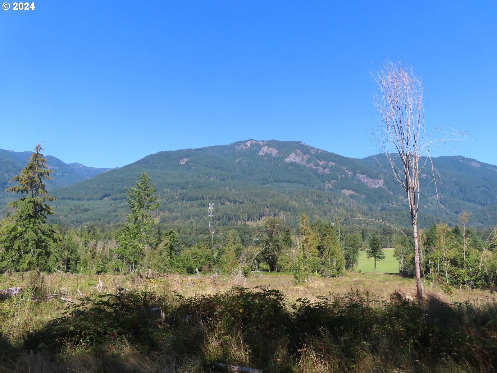 Bennett Road, Unit 2 & 3 Randle, WA 98377 - Photo 4 of 35 Gallery Image 4