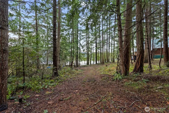 a view of outdoor space and green space