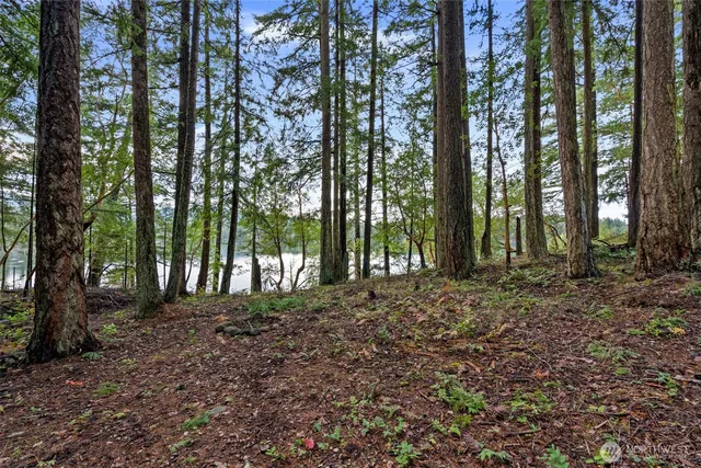 a view of outdoor space with lots of trees