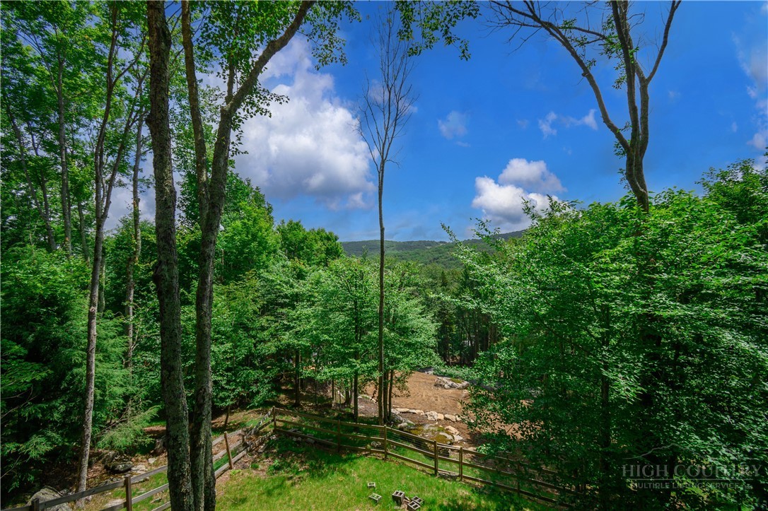 108 Windridge Road Beech Mountain, NC 28604 - Photo 24 of 49