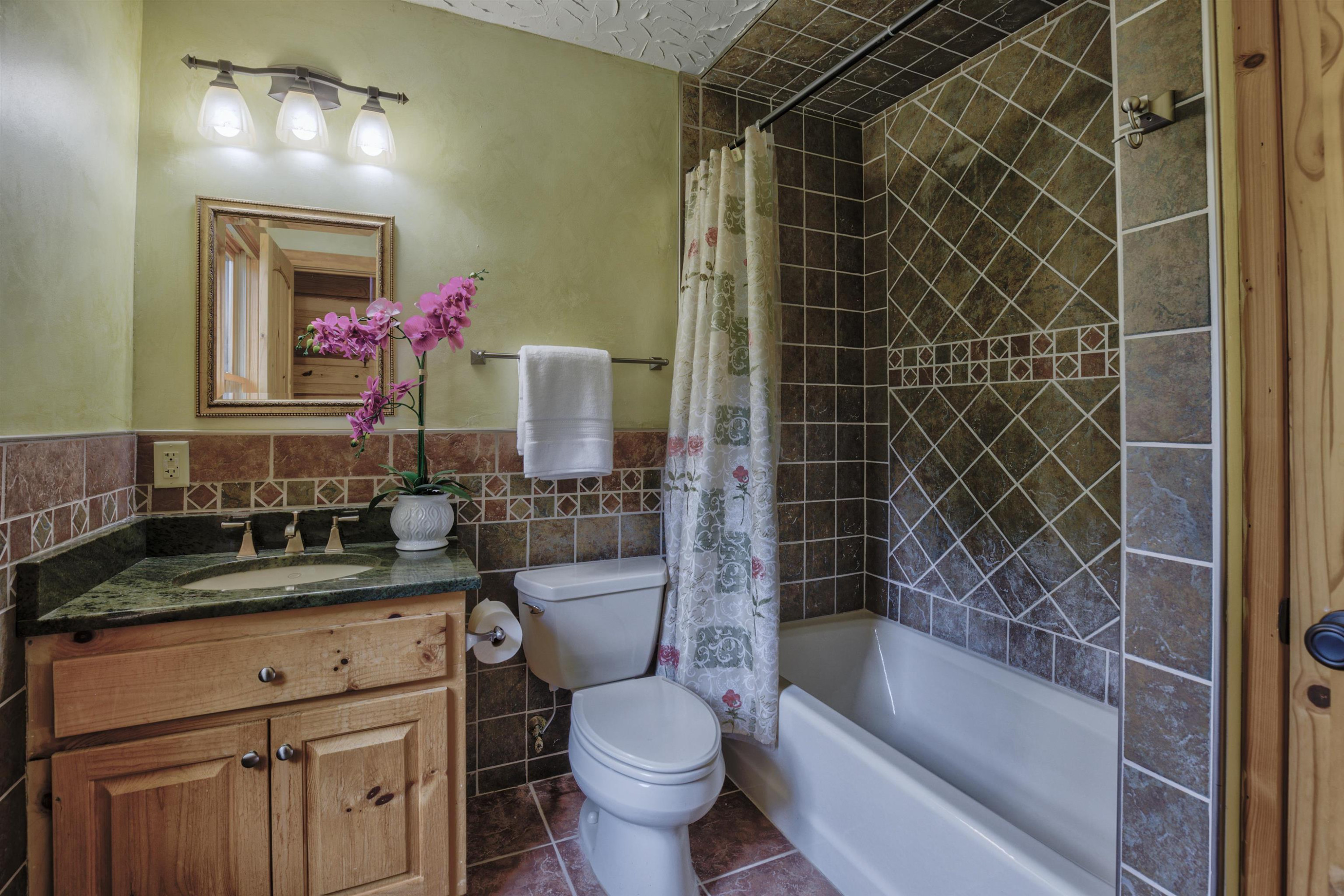 1039 North Chavis Road Kittrell, NC 27544 - Photo 28 of 53 a bathroom with a sink toilet vanity and tub