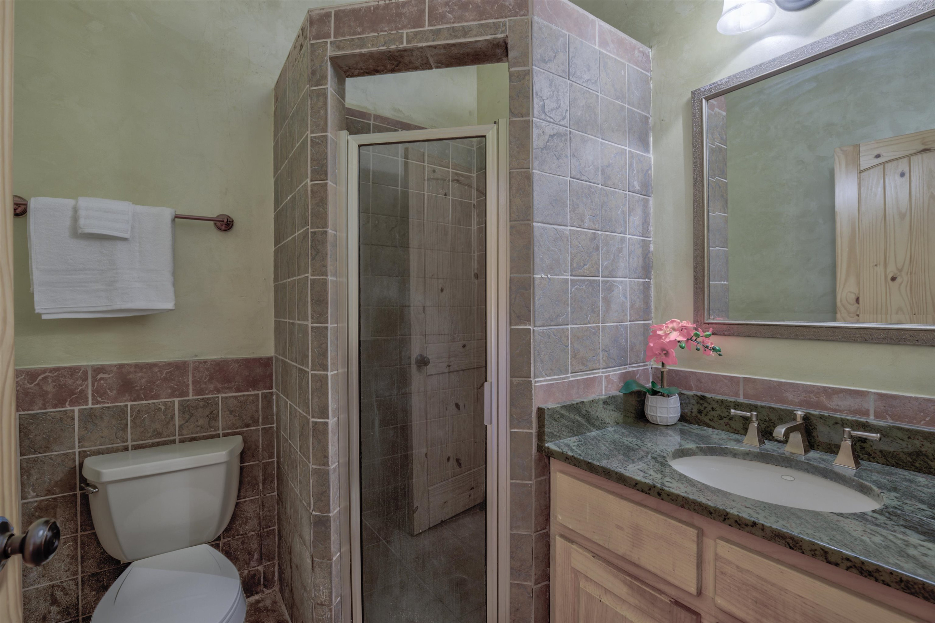 1039 North Chavis Road Kittrell, NC 27544 - Photo 36 of 53 a bathroom with a granite countertop toilet a sink and mirror