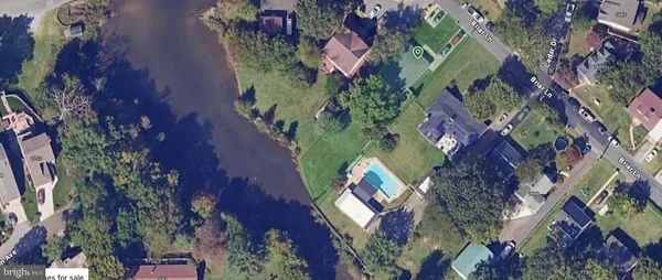 a view of a yard with large trees