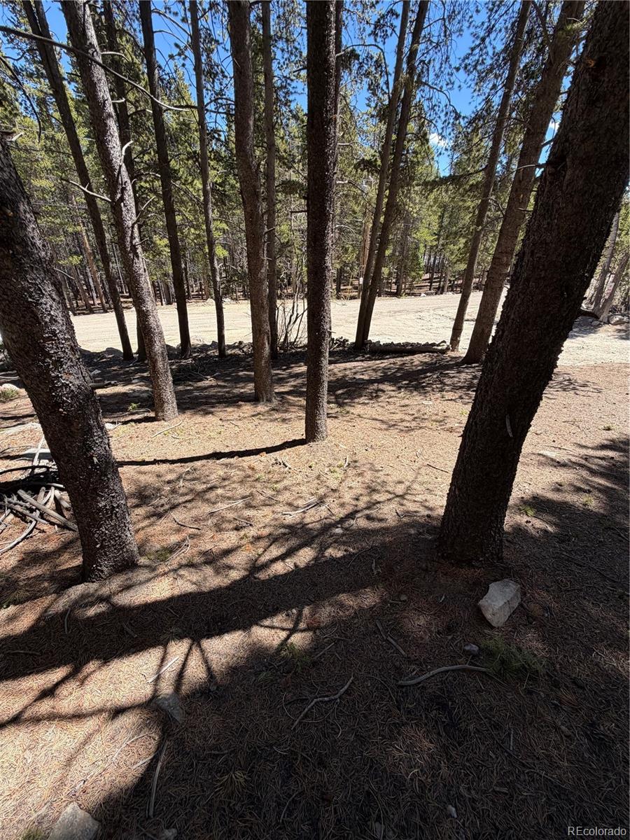 Lot 378 Alice Road Idaho Springs, CO 80452 - Photo 10 of 26 a view of yard with trees