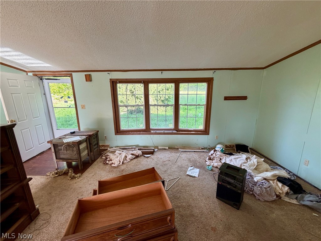 9200 Horn Road Windham, OH 44288 - Photo 28 of 41