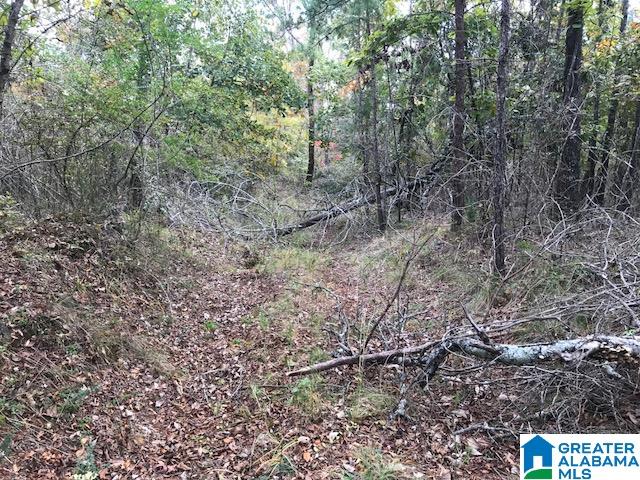 Enclave Drive, Unit 34 Springville, AL 35146 - Photo 4 of 12