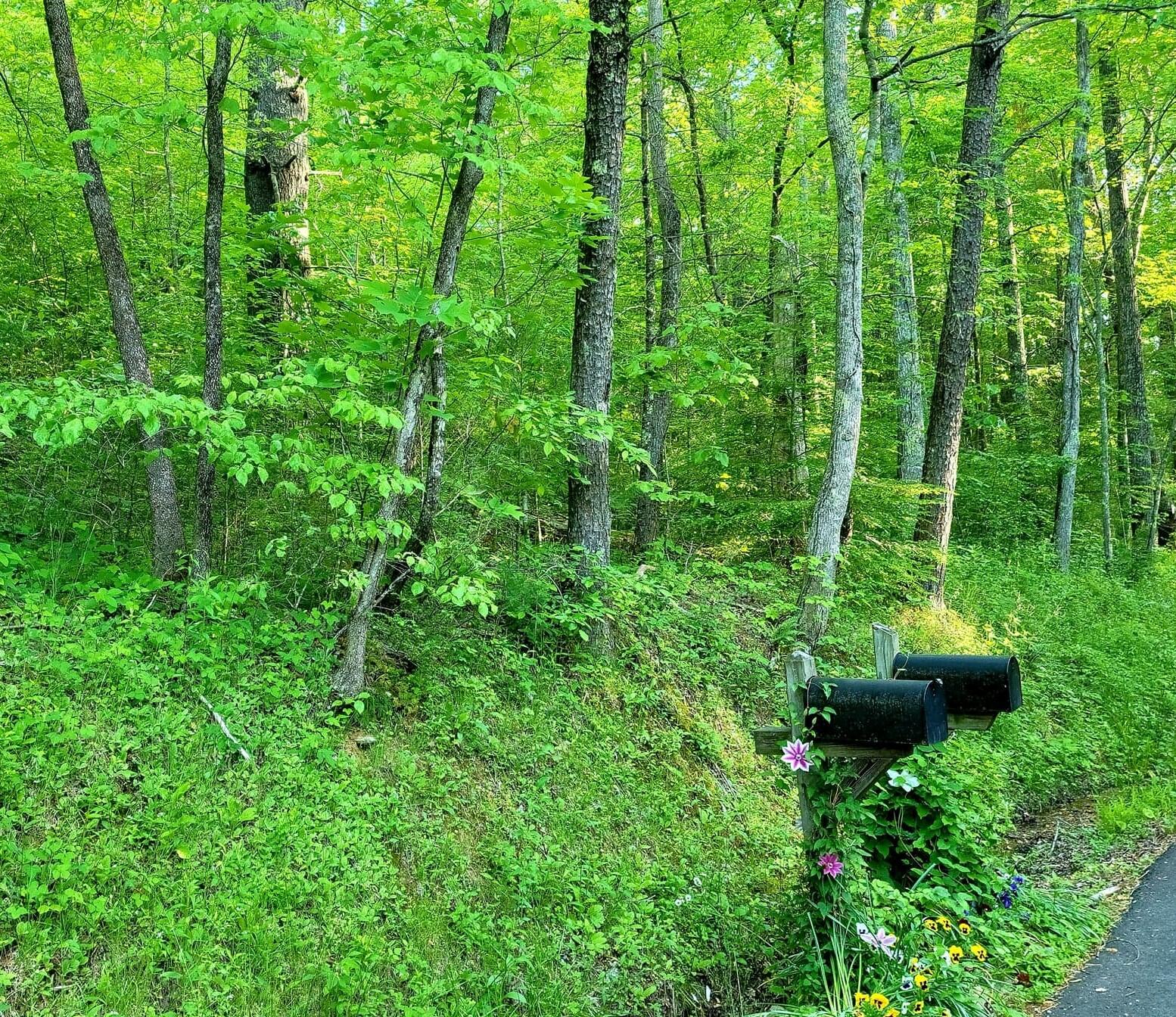 10-acres Pond Ridge Road Tellico Plains, TN 37385 - Photo 1 of 5 Pond Ridge 3