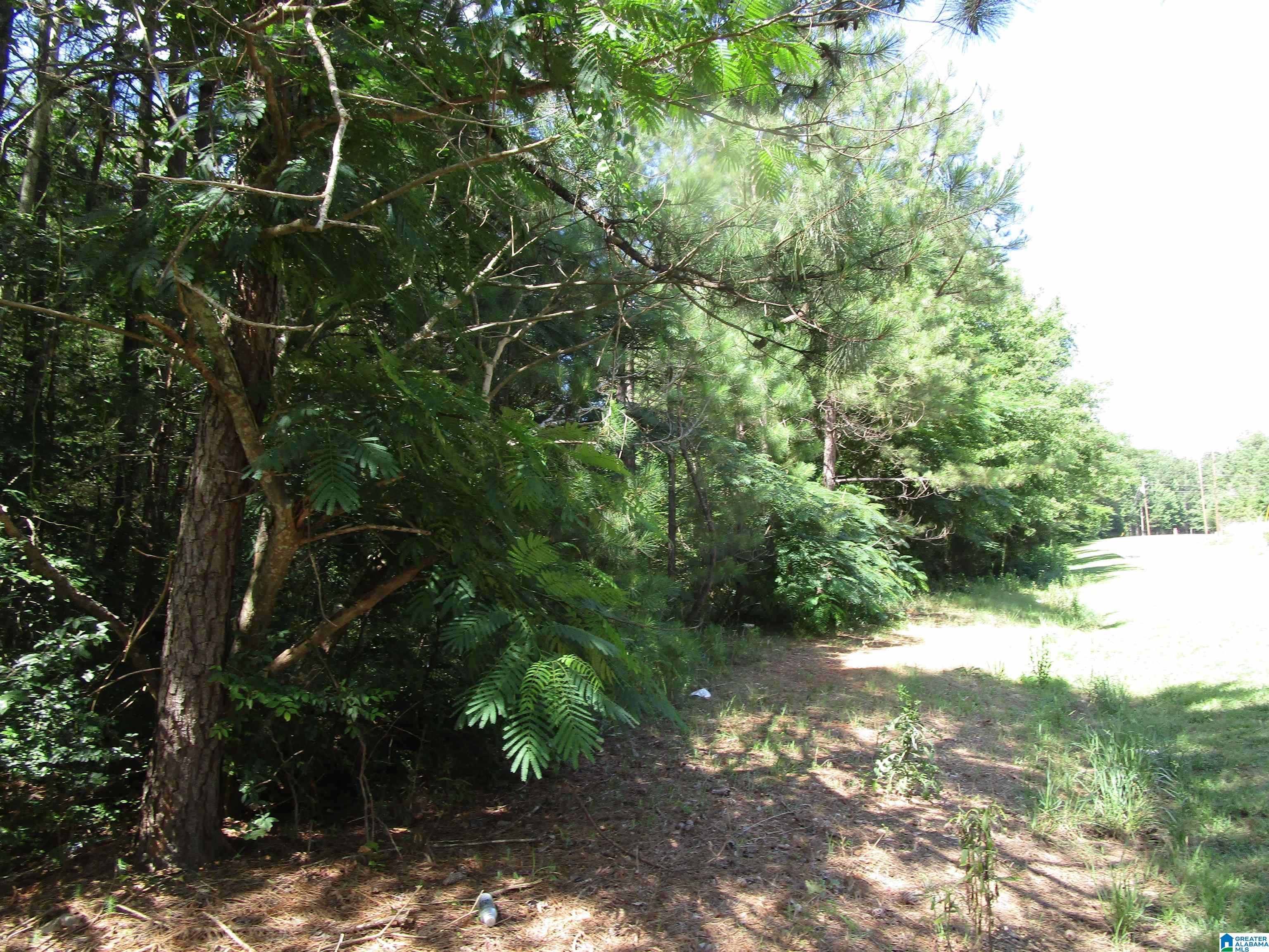 Odena Road, Unit 37 Maplesville, AL 36750 - Photo 7 of 7