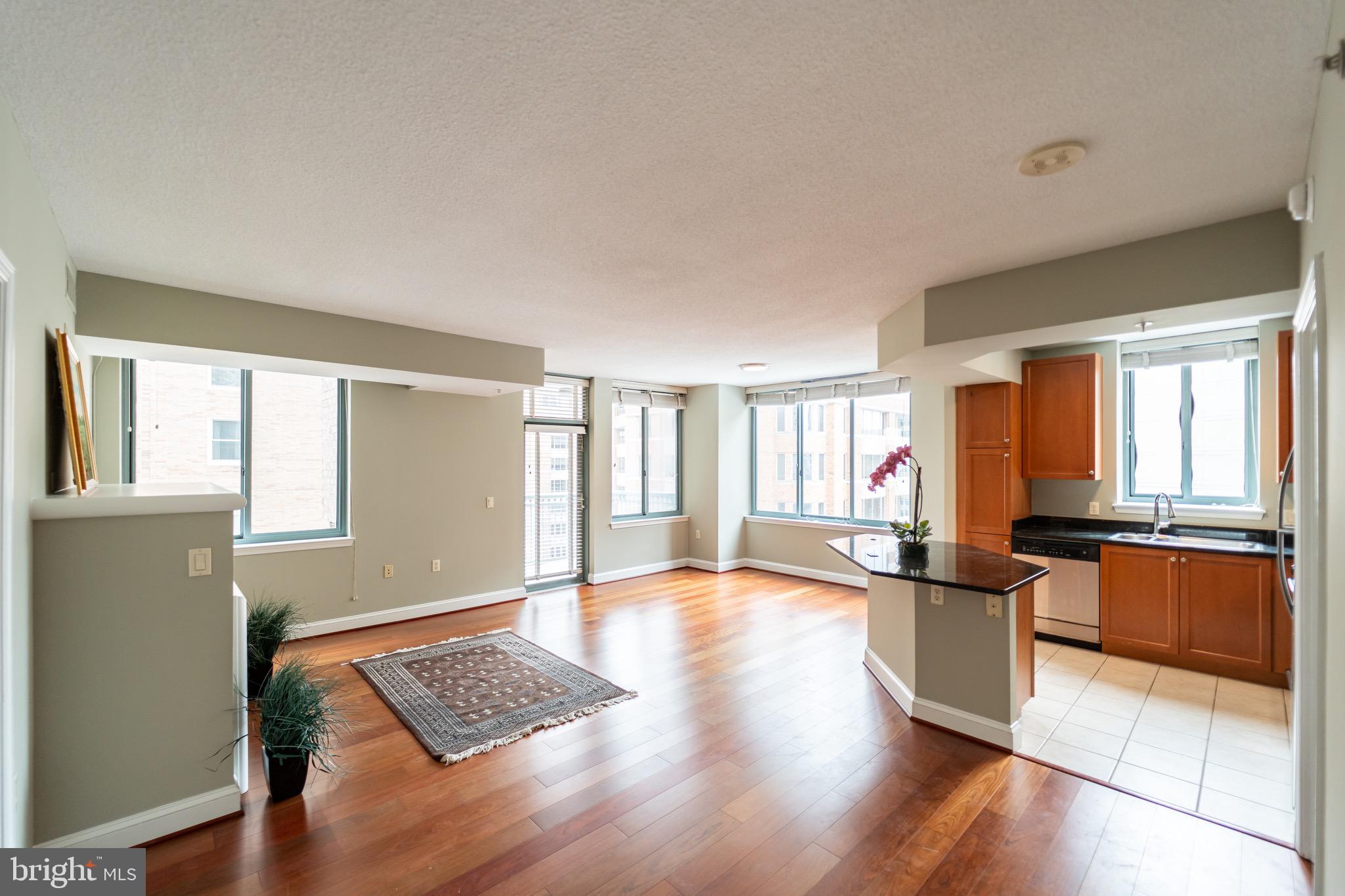 851 North Glebe Road, Unit 1005 Arlington, VA 22203 - Photo 5 of 20 Gallery Image 5