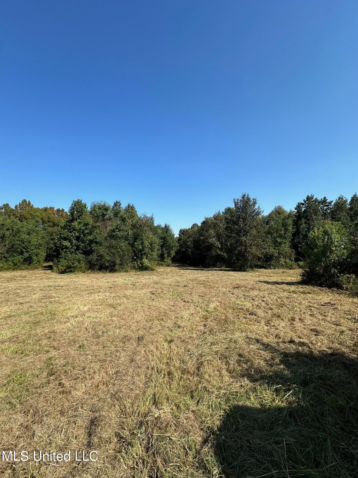 302 Cedar Hill Road Flora, MS 39071 - Photo 16 of 19 IMG_8472