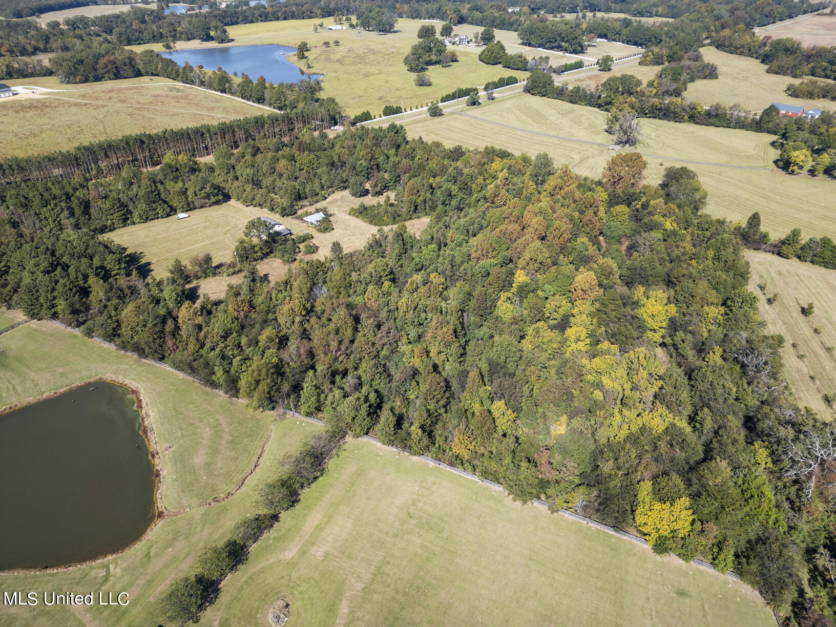 302 Cedar Hill Road Flora, MS 39071 - Photo 6 of 19 302 Cedar Hill Drone-6