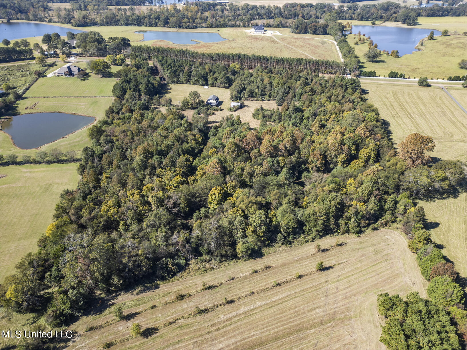 302 Cedar Hill Road Flora, MS 39071 - Photo 8 of 19 302 Cedar Hill Drone-8