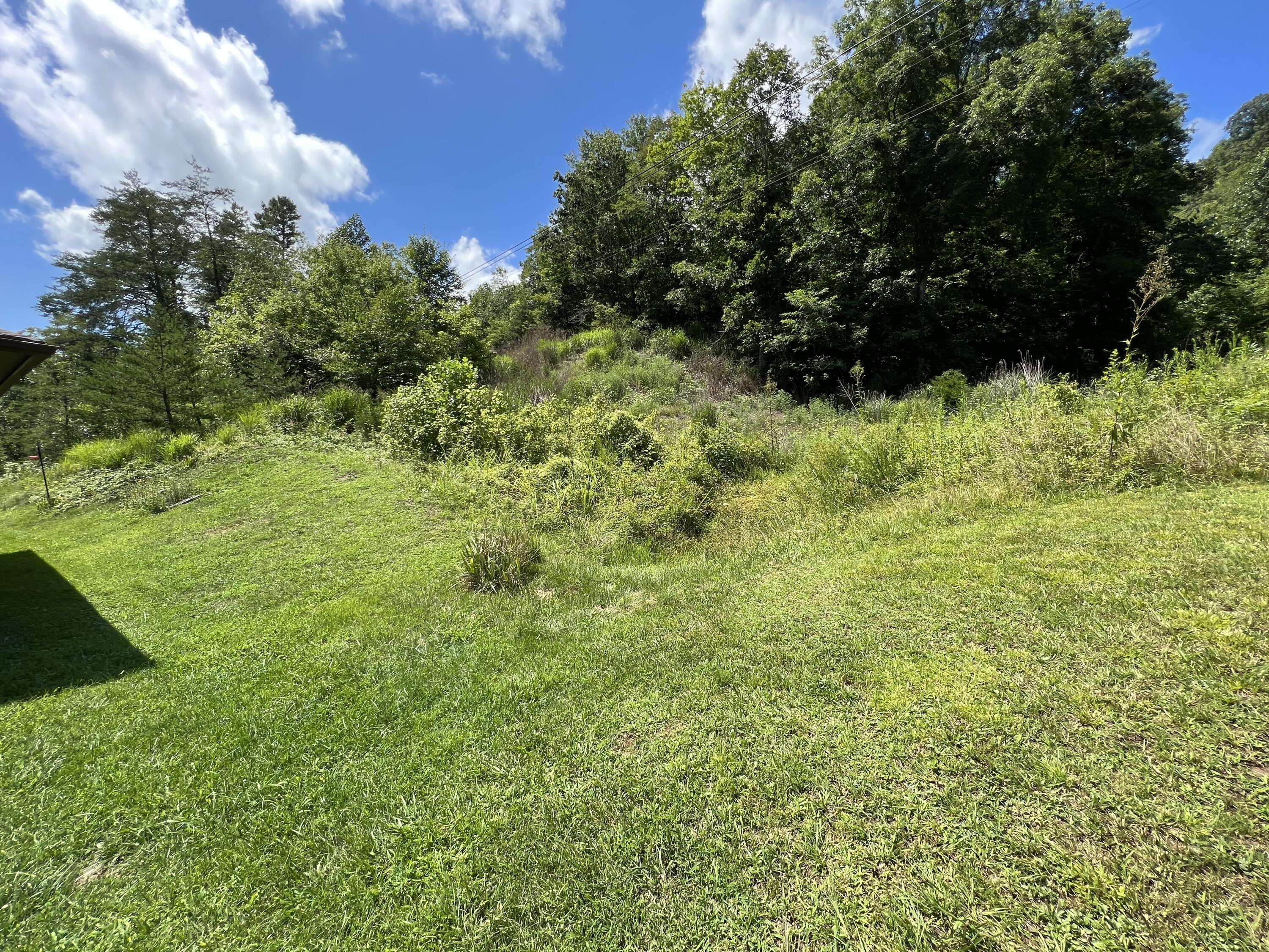 9146 Fairview Road Duffield, VA 24244 - Photo 7 of 43 REAR YARD