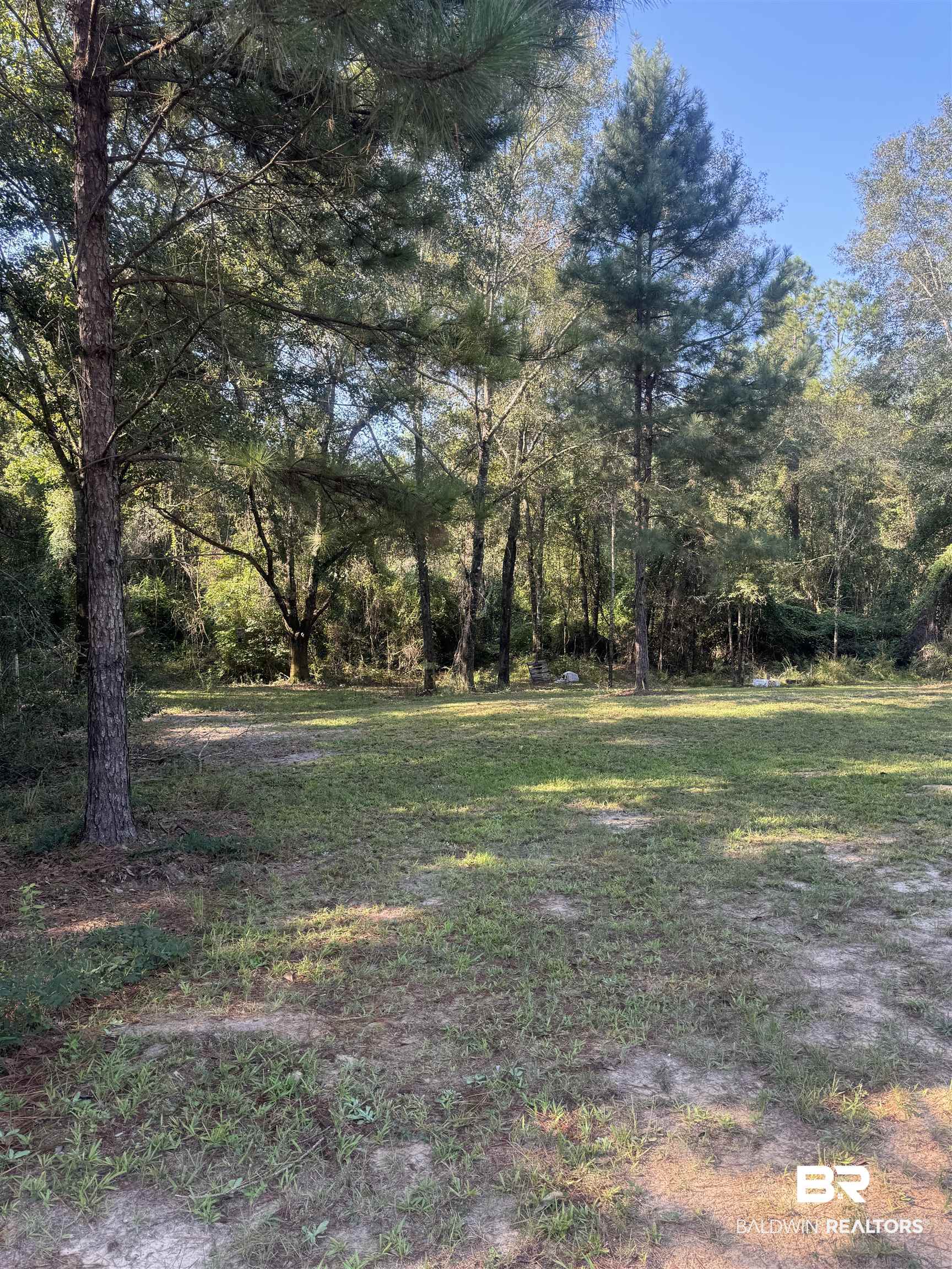 1067 County Road 7 Range, AL 36473 - Photo 27 of 30 View of yard