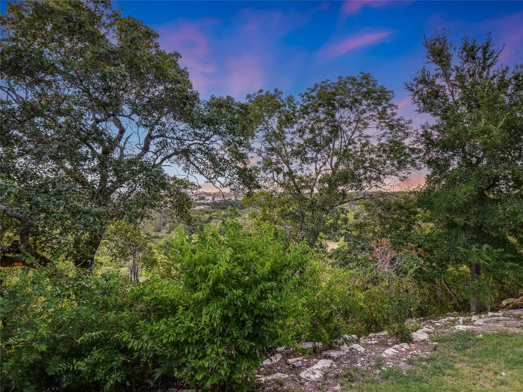 4704 Monte Carmelo Place Austin, TX 78738 - Photo 29 of 30 a view of a yard with a tree