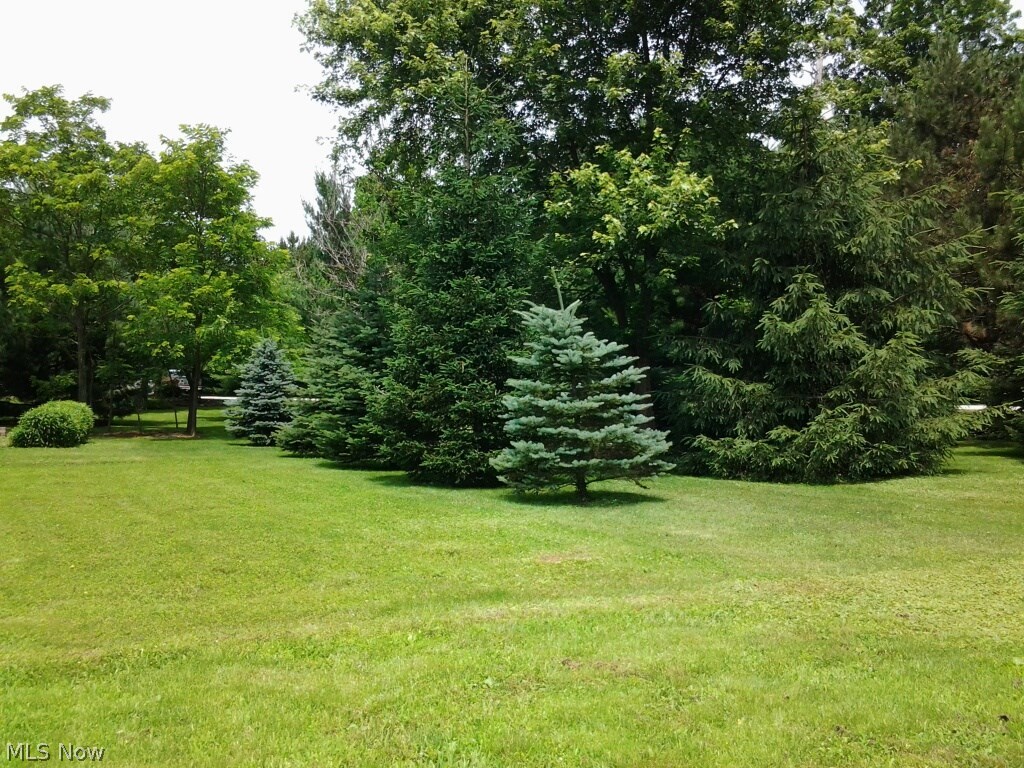 2621 Forman Road Austinburg, OH 44010 - Photo 20 of 25 Gallery Image 20