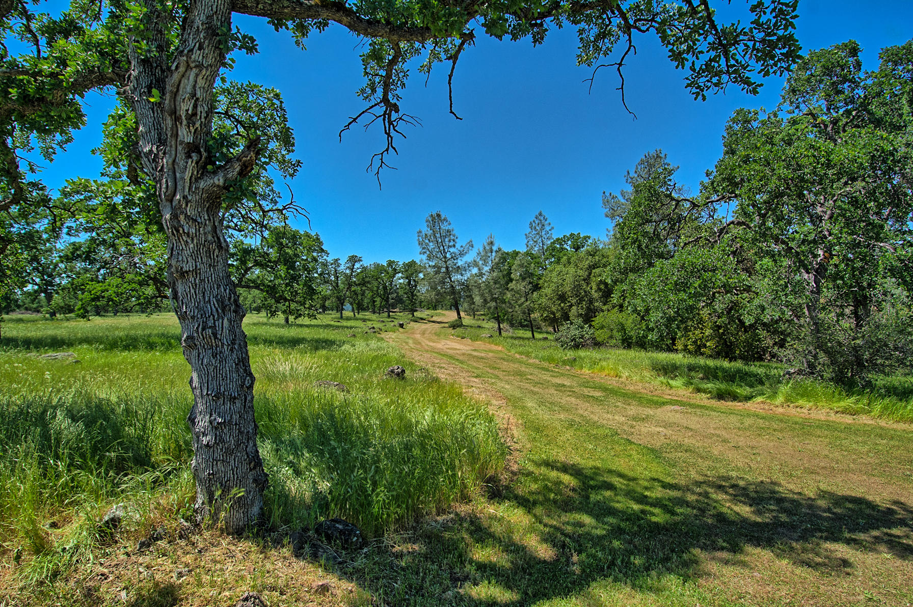 10202 Oak Run Road Palo Cedro, CA 96073 - Photo 13 of 50 Property in Spring