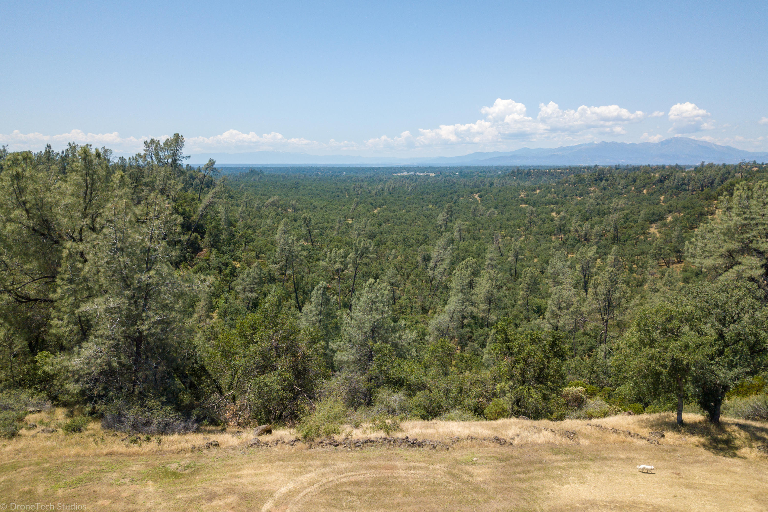 10202 Oak Run Road Palo Cedro, CA 96073 - Photo 4 of 50 Looking West