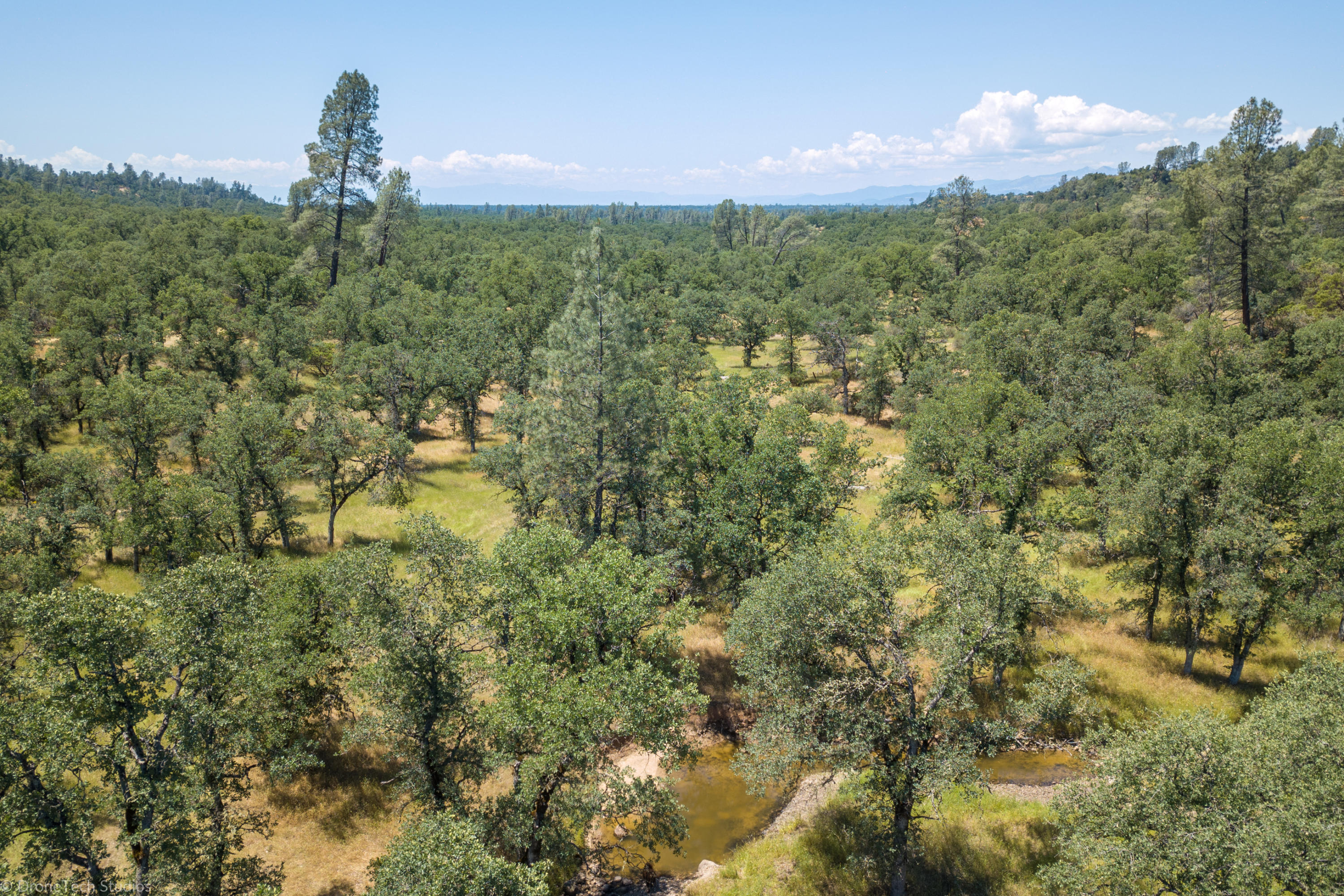10202 Oak Run Road Palo Cedro, CA 96073 - Photo 5 of 50 Season Pond