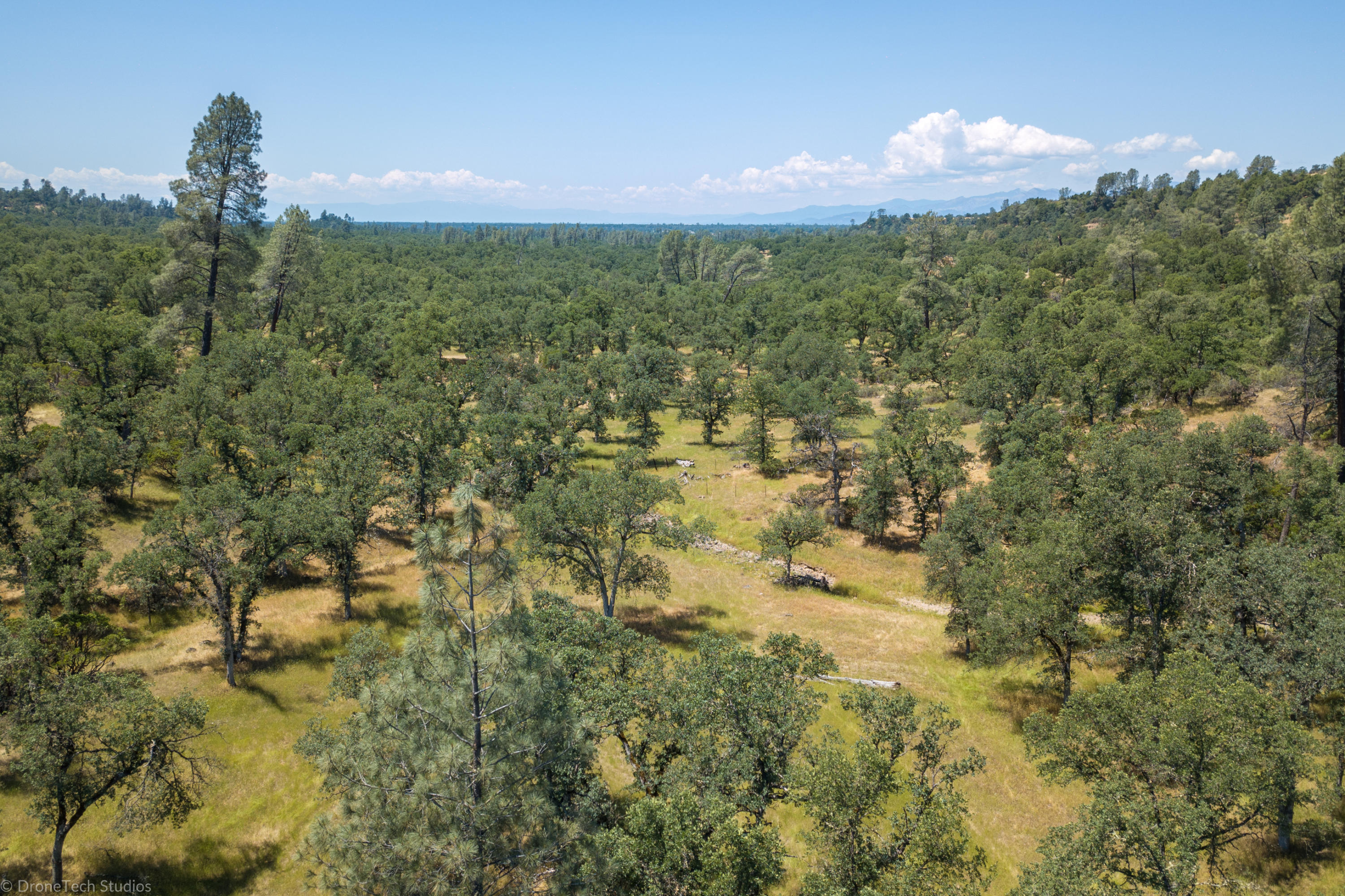 10202 Oak Run Road Palo Cedro, CA 96073 - Photo 6 of 50 Property