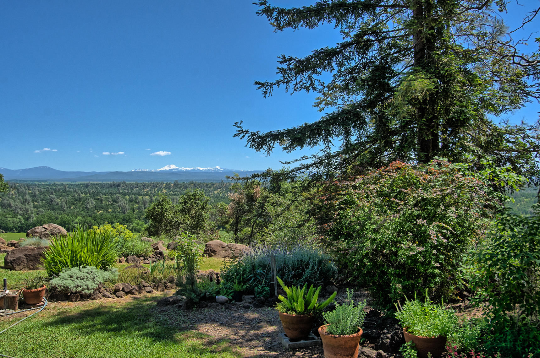 10202 Oak Run Road Palo Cedro, CA 96073 - Photo 9 of 50 Backyard