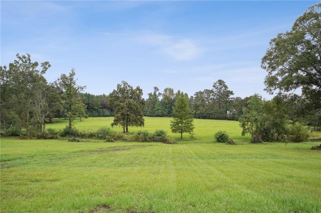 85312 Highway 437 Covington, LA 70435 - Photo 37 of 46