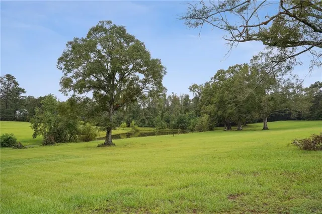 $1,125,000 | 85312 Highway 437, Covington, LA 70435