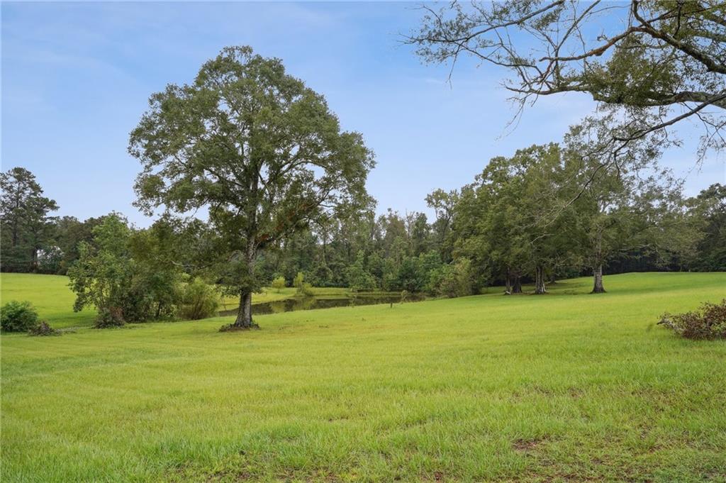 85312 Highway 437 Covington, LA 70435 - Photo 38 of 46