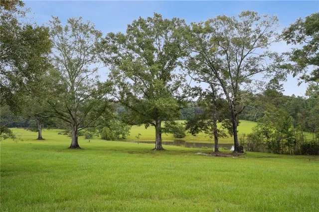 $1,125,000 | 85312 Highway 437, Covington, LA 70435