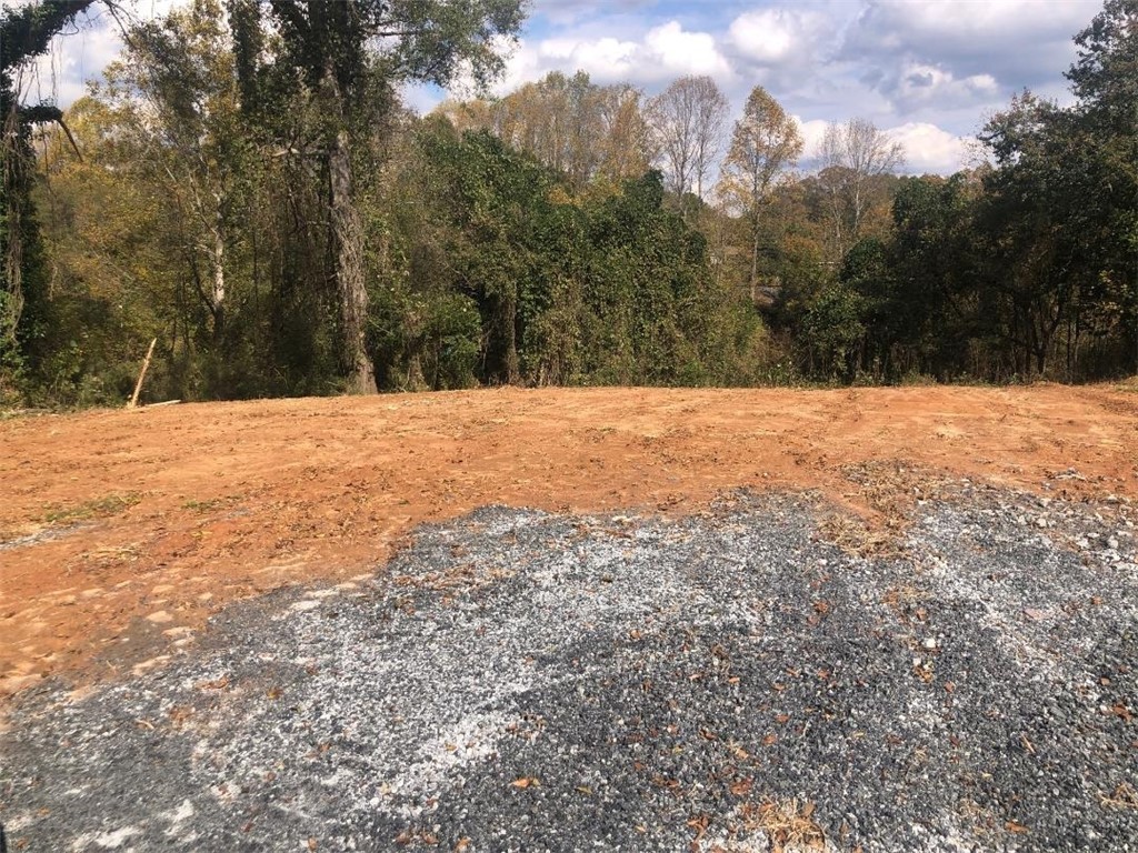 Oo Hamberg Street Pendleton, SC 29670 - Photo 3 of 5