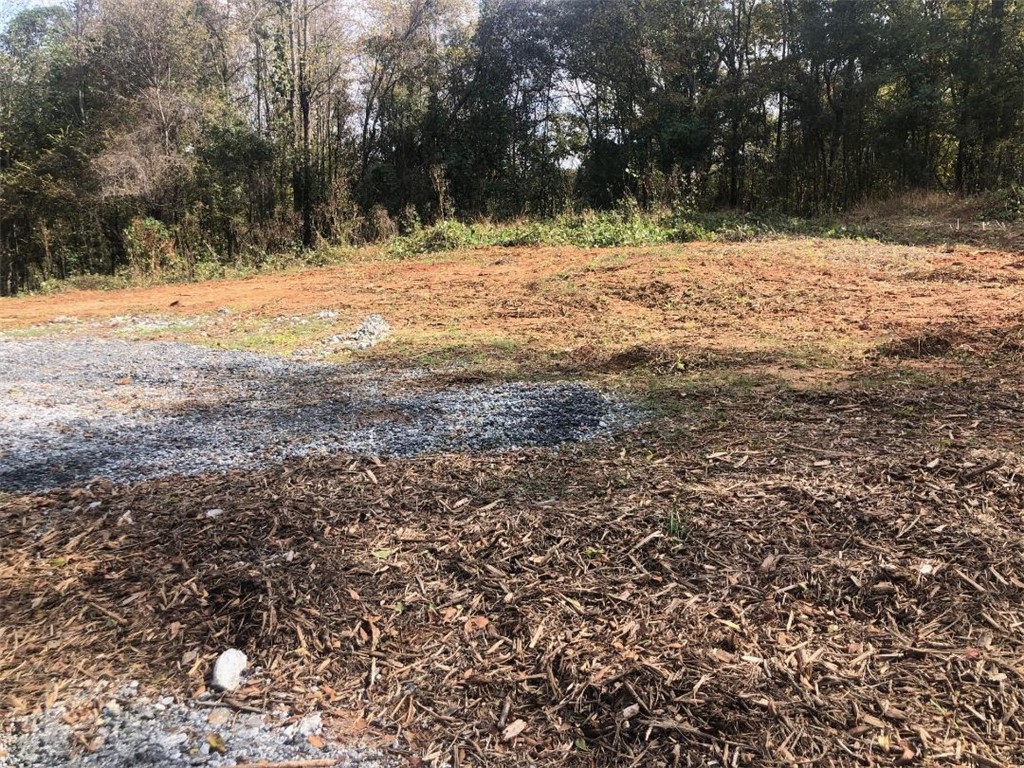 Oo Hamberg Street Pendleton, SC 29670 - Photo 5 of 5