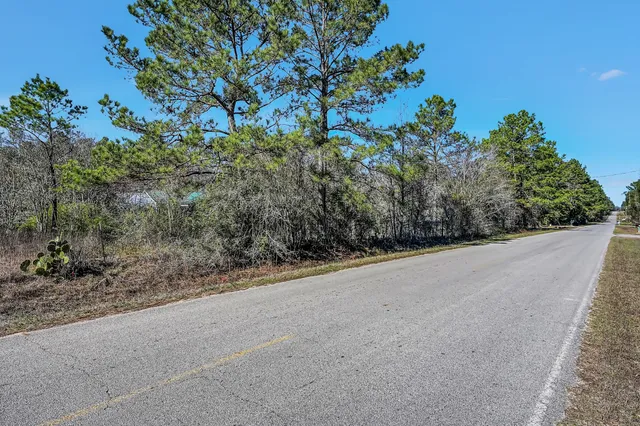 a view of a rural road with plants
